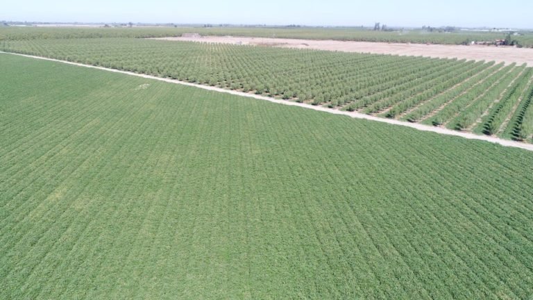 Custom Farm Services field work 13