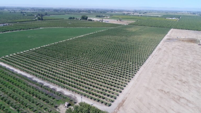 Custom Farm Services field work 14
