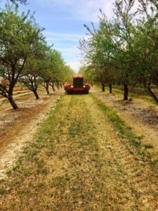Custom Farm Services field work 55