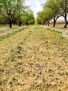Custom Farm Services field work 56